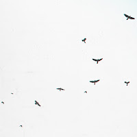 Mattia Cupelli - Waves загрузить