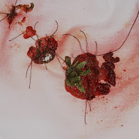 Max Fry - Stain загрузить