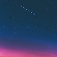 Max Maxwell - Falling East загрузить