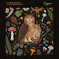 Maxxim - Moments Of Wonder (Extended Mix) Ft Flanerr загрузить