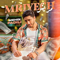 مهدي فاضيلي - مريش загрузить