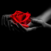 Miledi - Likimo Vėjas загрузить