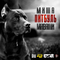 Обложка песни 