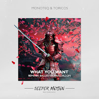 Monoteq - What You Want Ft Toricos загрузить
