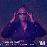 Naarly - Desperate Times Ft Thabza De Soul & Skye Wanda загрузить