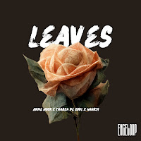 Naarly - Leaves Ft Thabza De Soul & Anne Noor загрузить