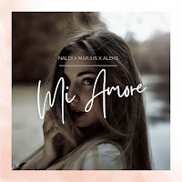 Naldi - Mi Amore Ft Marjus & Aleks загрузить