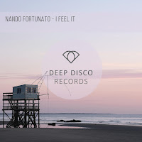 Nando Fortunato - I Feel It загрузить