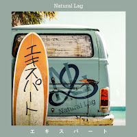 Natural Lag - エキスパート - Expert загрузить