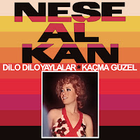 Neşe Alkan - Kaçma Güzel загрузить
