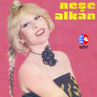 Neşe Alkan - Olmuş Bitmiş Deme загрузить