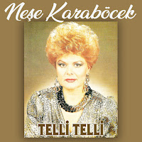 Neşe Karaböcek - Sildim Seni Kalbimden загрузить