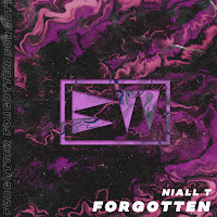 Niall T - Forgotten загрузить