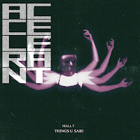 Niall T - Things U Said загрузить