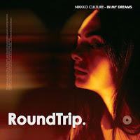 Nikko Culture - In My Dreams Ft Roundtrip.music загрузить
