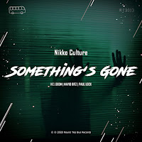 Nikko Culture - Something's Gone загрузить