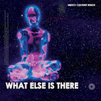 Nikko Culture - What Else Is There Ft Roundtrip.music загрузить