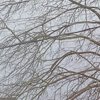 Nissan Playa - Twin Turbo загрузить