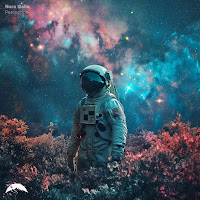 Nora Gallo - Perception загрузить