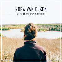 Nora Van Elken - Missing You (Casp:r Remix) (Feat. Casp:r) Ft Zack Gray загрузить
