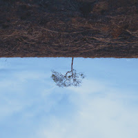 Oleg Byonic - Calipso (Vocal Mix) загрузить