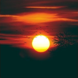 Oliver Jensen - Calm Ft Vibez Records загрузить