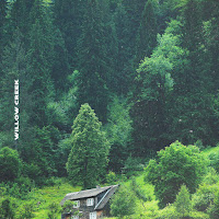 Ollie Joseph - Willow Creek загрузить