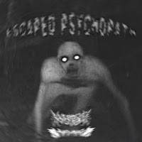 P4Ndamxne - Escaped Psychopath (Feat. Nxtiamrxfni) загрузить