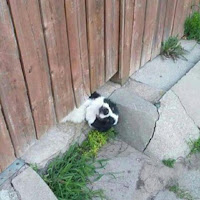 Paulie Leparik - Beat Fs загрузить