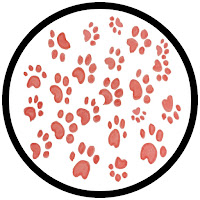 Pawsa - The Groovy Cat (Extended Mix) загрузить