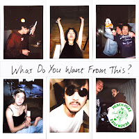 Peach Fuzz - What Do You Want From This? загрузить