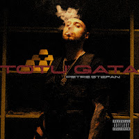 Petre Stefan - Totu' Gata загрузить