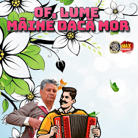 Petrecere La Romani - Ileană,Ileană загрузить