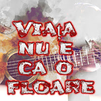 Petrecere La Romani - Viața Nu E Ca O Floare загрузить