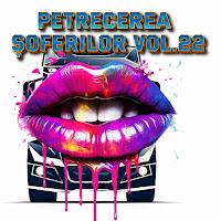 Petrecerea Soferilor - Pleaca Lasă-Mă Și Dute загрузить