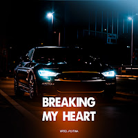 Plvtina - Breaking My Heart Ft Vrtei загрузить