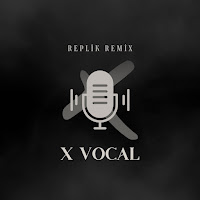 Replik Remix - Beyler Valizleri Toplayın Tatile Çıkıyoruz загрузить