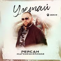 Обложка песни 