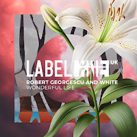 Robert Georgescu - Wonderful Life Ft White загрузить