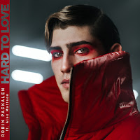 Robin Packalen - Hard To Love (Feat. Alex Mattson) загрузить