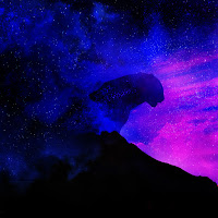 Roman - Garden Of Stars загрузить