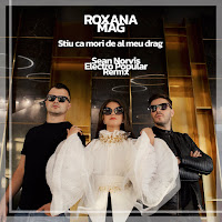 Roxana Mag - Stiu Ca Mori De Al Meu Drag (Sean Norvis Electro Popular Extended Remix) загрузить