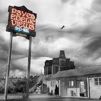 Sad Night Dynamite - Psychedelic Views (Feat. Idk) загрузить