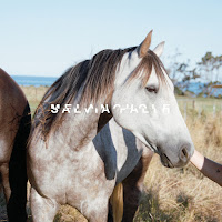 Salvia Palth - I Was All Over Her (Remaster) загрузить