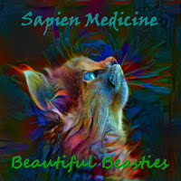 Sapien Medicine - Animal Trauma Release 2 загрузить