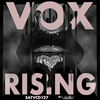 Satv Music - Ready To Rise загрузить