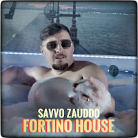 Savvo Zauddo - Fortino House загрузить
