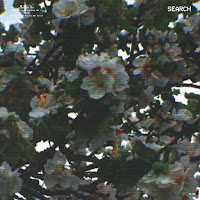 Scarlet House - Search загрузить