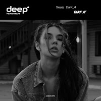 Sean David - Take It загрузить