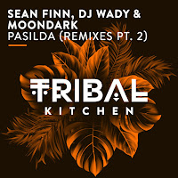 Sean Finn - Pasilda (Dj Wady & Moondark Remix) Ft Dj Wady & Moondark загрузить